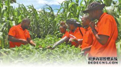 从“一块田”走向“万里原”（相知无远近）