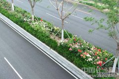 <b>中经评论：在绿化带建设中感受城市之美</b>