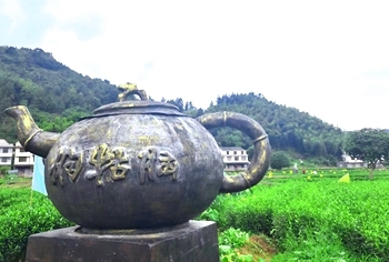 一叶茶、一只箱、一味药、一片砖：江西县域产